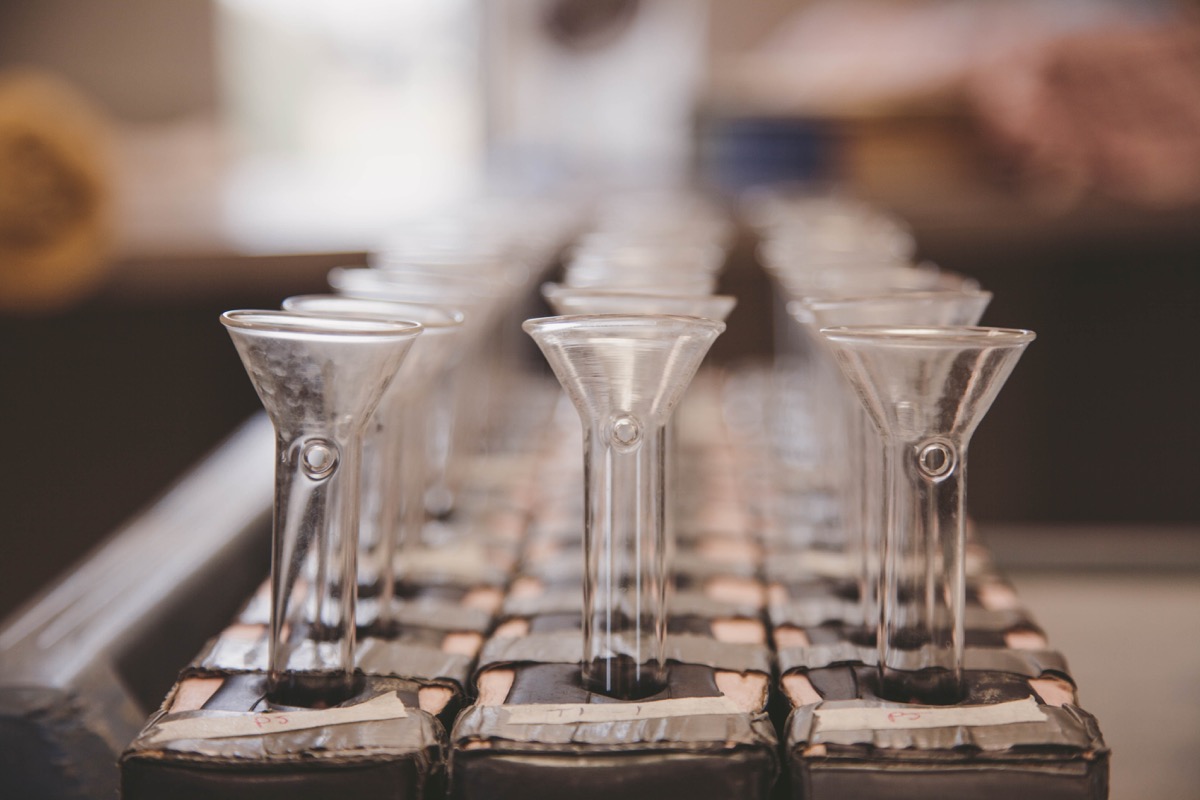 -19 up close test tubes